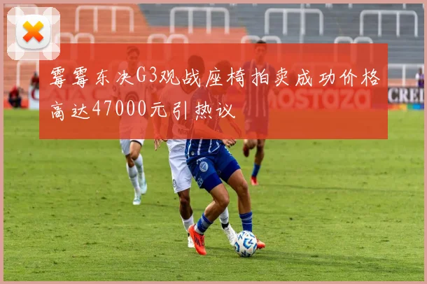 霉霉东决G3观战座椅拍卖成功价格高达47000元引热议